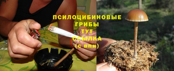 спиды Карпинск