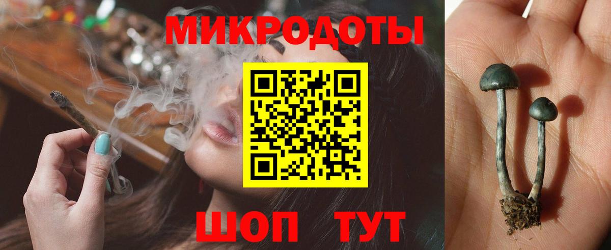даркнет сайт  Вход с VPN  Ковров  Псилоцибиновые грибы Psilocybe  Галлюциногенные грибы Magic Shrooms 